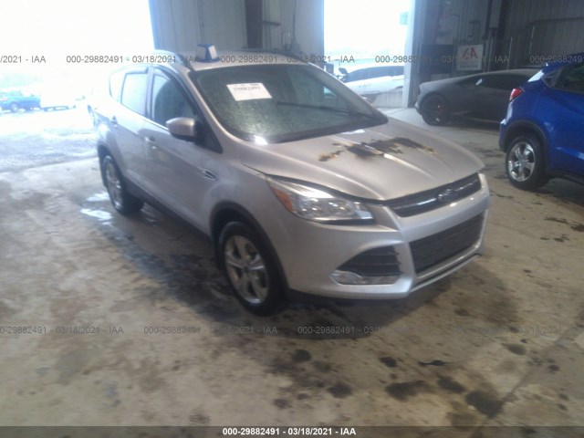 Ford Escape (2014)