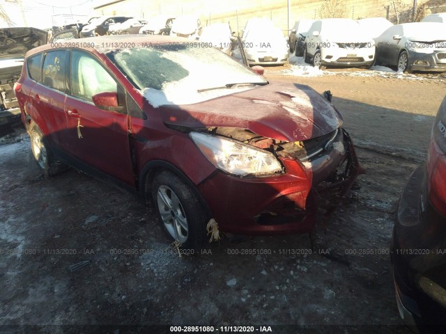 Ford Escape (2015)