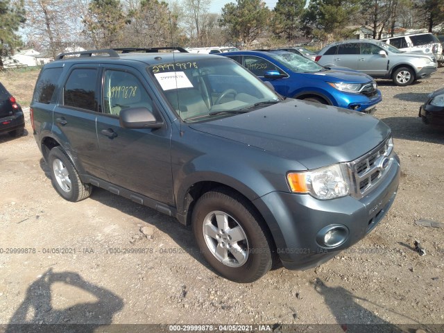 Ford Escape (2010)