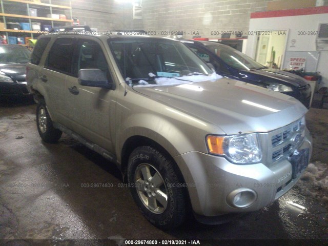 Ford Escape (2010)