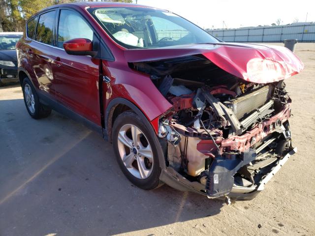 Ford Escape (2014)