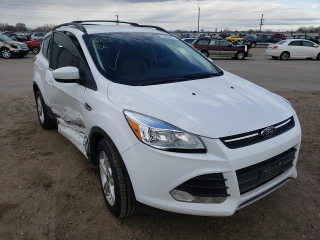 Ford Escape se (2014)