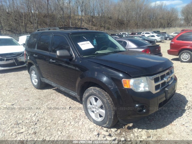 Ford Escape (2010)