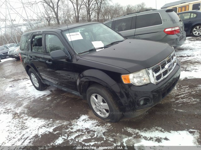 Ford Escape (2010)