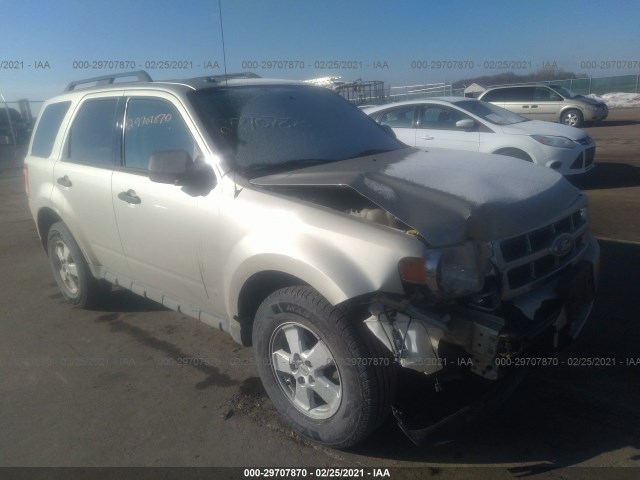 Ford Escape (2010)