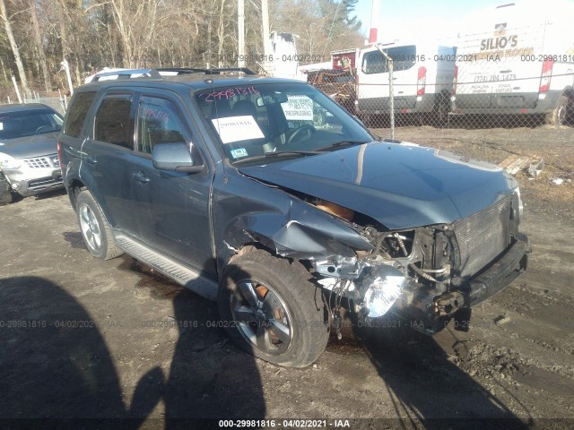 Ford Escape (2010)