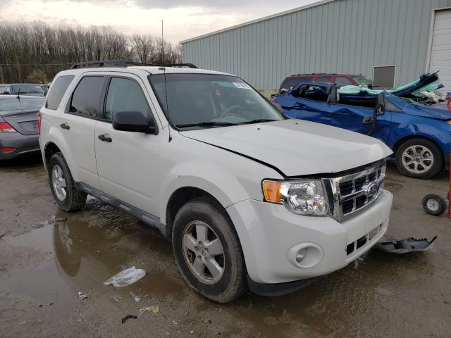 Ford Escape (2010)