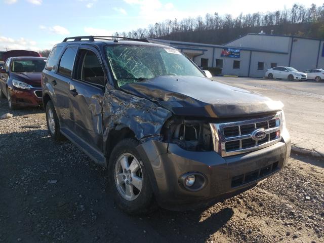 Ford Escape xlt (2010)