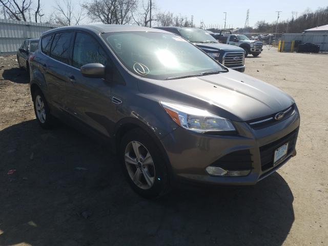 Ford Escape se (2014)