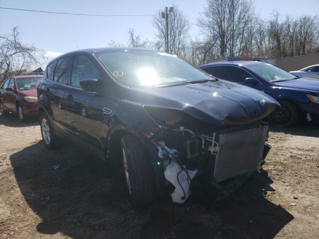 Ford Escape (2015)