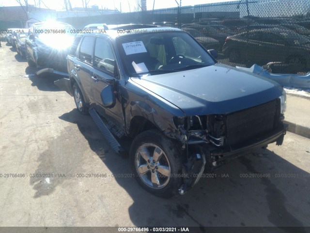 Ford Escape (2010)