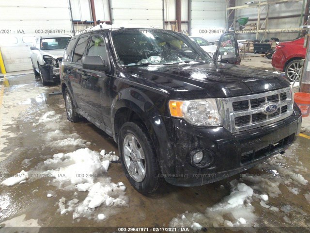 Ford Escape (2010)