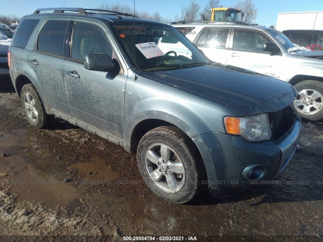 Ford Escape (2010)