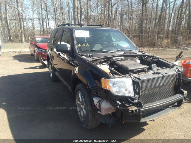 Ford Escape (2011)