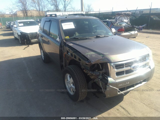 Ford Escape (2011)
