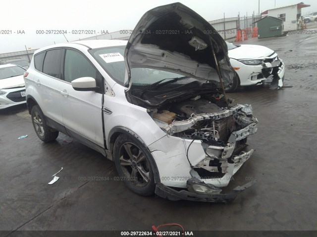 Ford Escape (2014)
