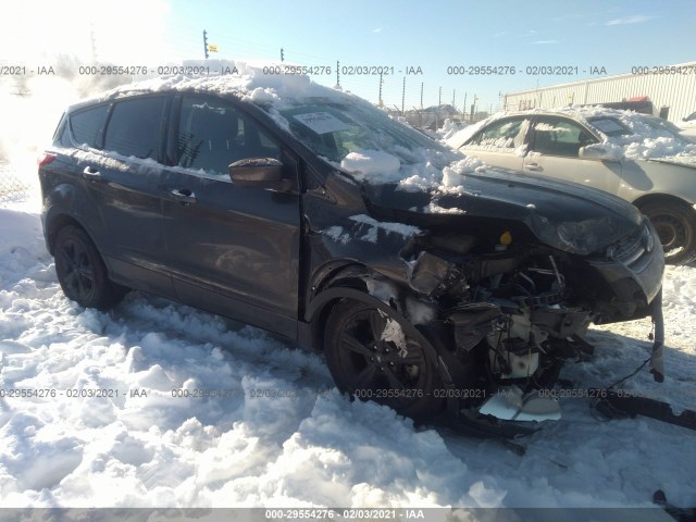 Ford Escape (2016)