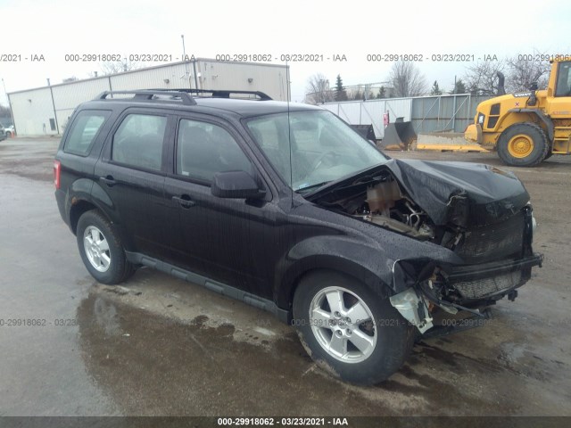 Ford Escape (2010)