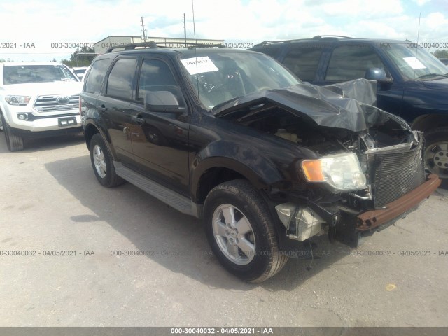 Ford Escape (2010)