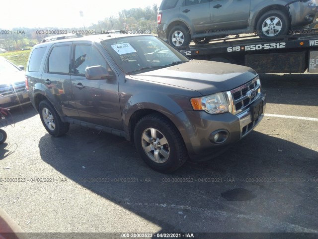 Ford Escape (2010)