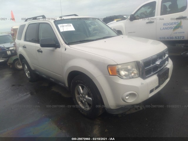 Ford Escape (2010)
