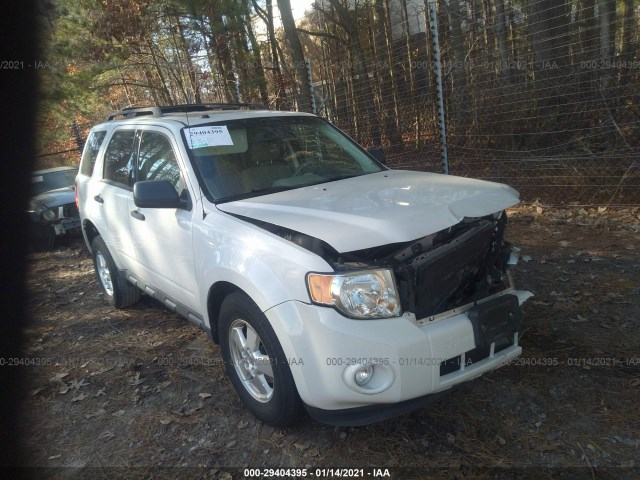 Ford Escape (2011)