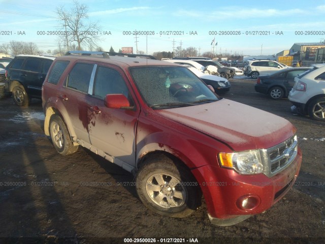 Ford Escape (2011)