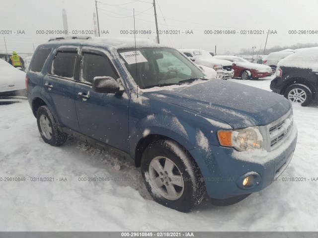 Ford Escape (2010)