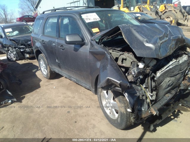 Ford Escape (2011)