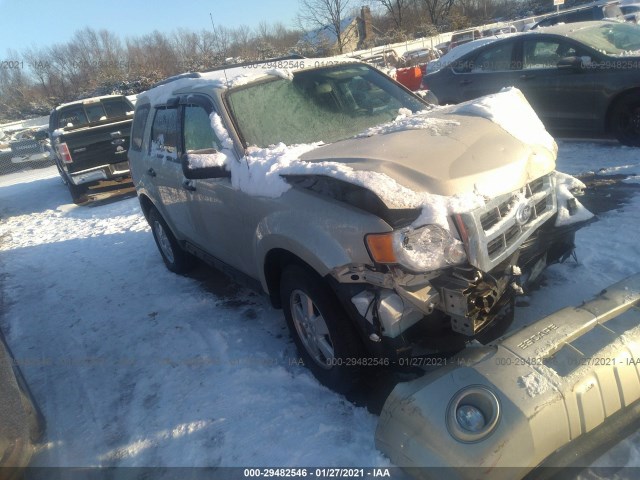 Ford Escape (2012)