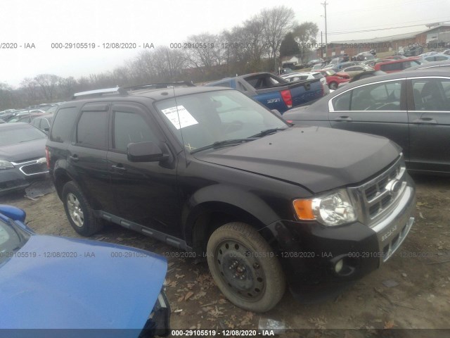 Ford Escape (2012)