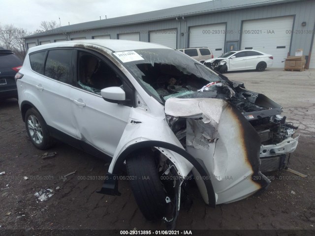 Ford Escape (2017)