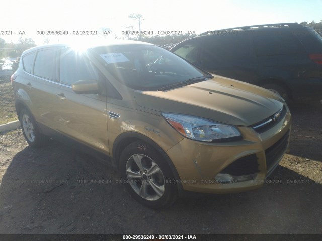 Ford Escape (2014)