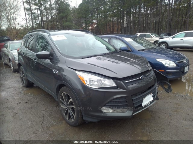 Ford Escape (2015)