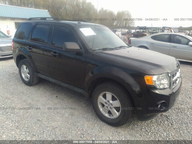 Ford Escape (2010)
