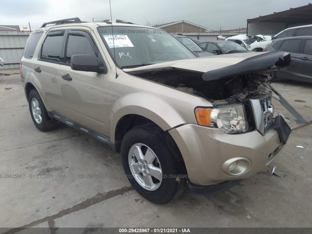 Ford Escape (2010)
