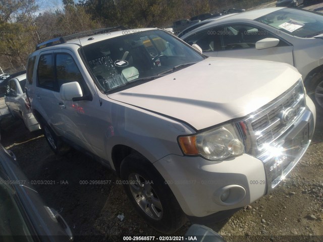 Ford Escape (2010)