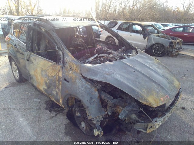 Ford Escape (2014)