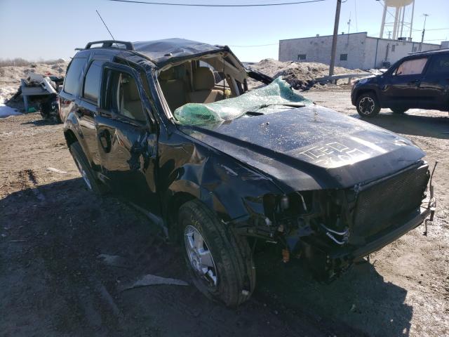 Ford Escape xlt (2010)