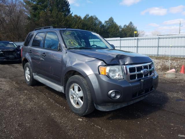 Ford Escape xlt (2010)