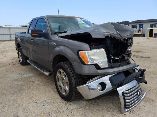 Ford F-150 (2010)