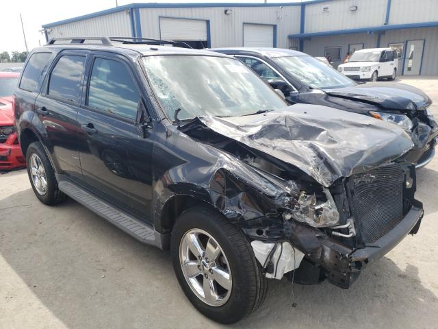 Ford Escape xlt (2011)