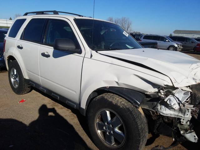 Ford Escape xlt (2011)