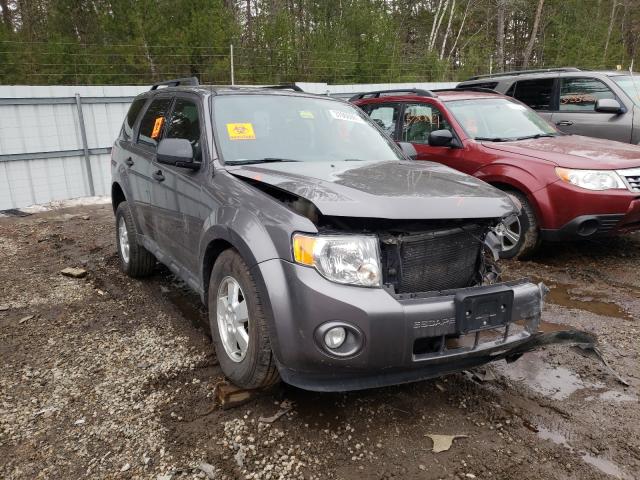 Ford Escape xlt (2011)