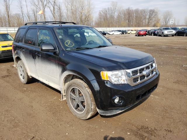 Ford Escape xlt (2011)