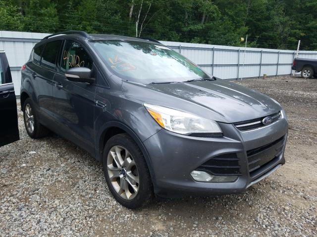 Ford Escape sel (2013)