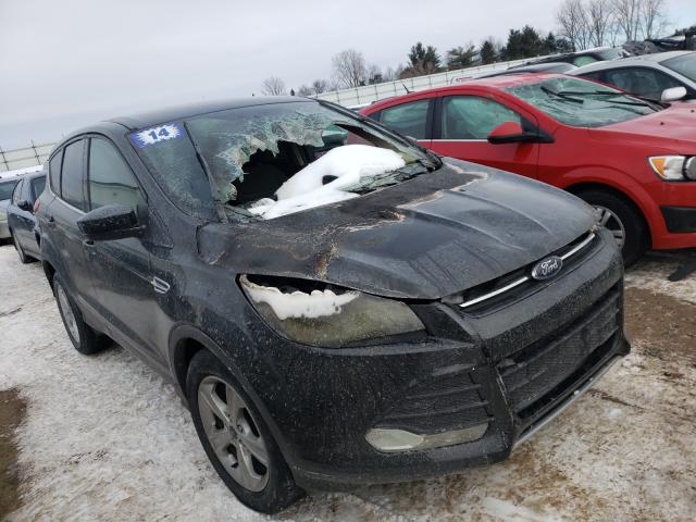 Ford Escape (2014)