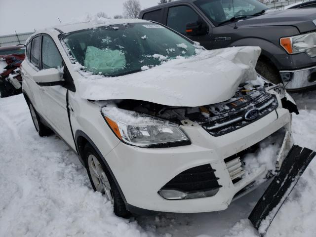 Ford Escape se (2014)