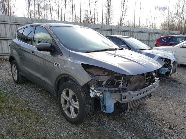 Ford Escape se (2014)