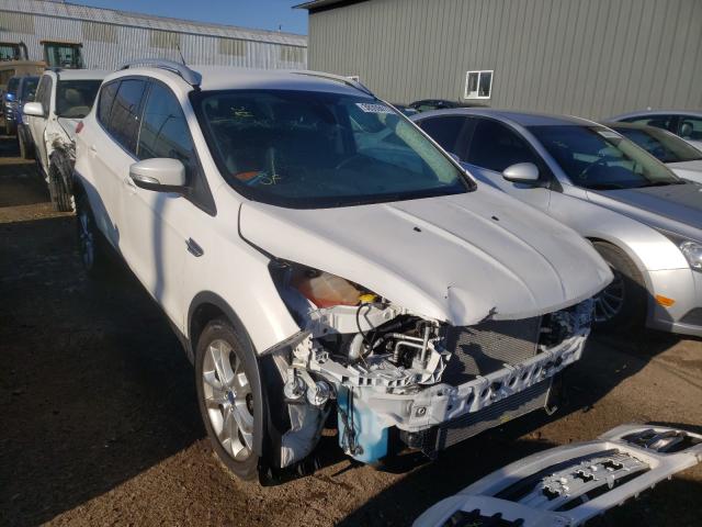 Ford Escape tit (2015)